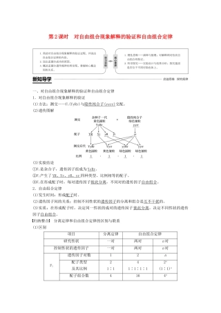 高中生物 第1章 遗传因子的发现 第2节 孟德尔的豌豆杂交实验(二)第2课时 对自由组合现象解释的验证和自由组合定律学案 新人教版必修2-新人教版高一必修2生物学案