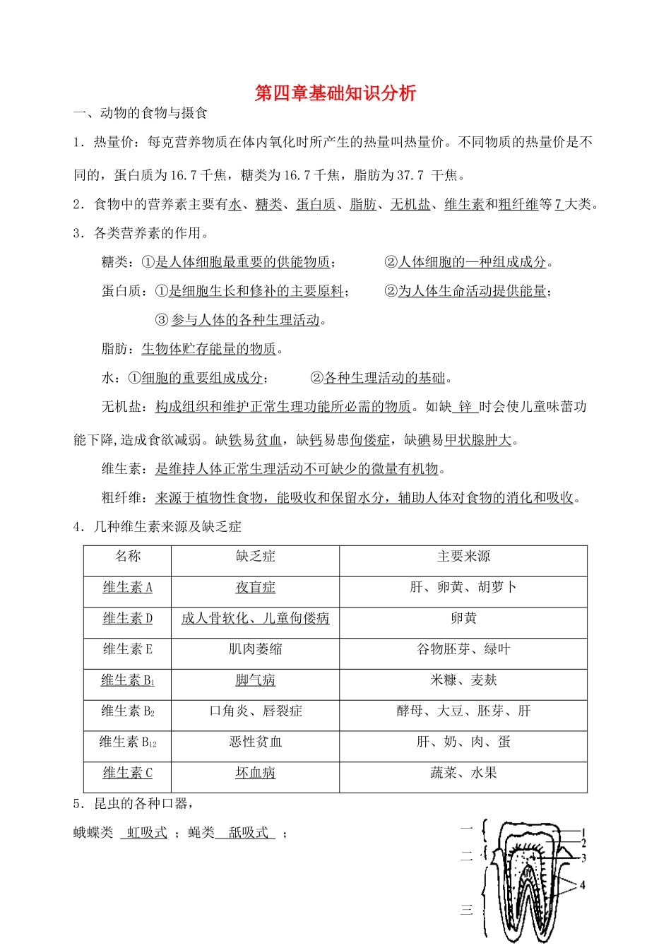 九年级科学上册 第四章代谢与平衡教案 浙教版_第1页