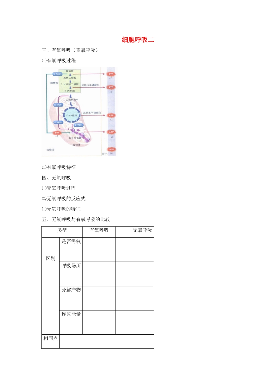 高考生物专题复习 4细胞呼吸（二）无氧呼吸及细胞呼吸应用学案-人教版高三全册生物学案_第1页