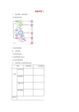 高考生物专题复习 4细胞呼吸（二）无氧呼吸及细胞呼吸应用学案-人教版高三全册生物学案