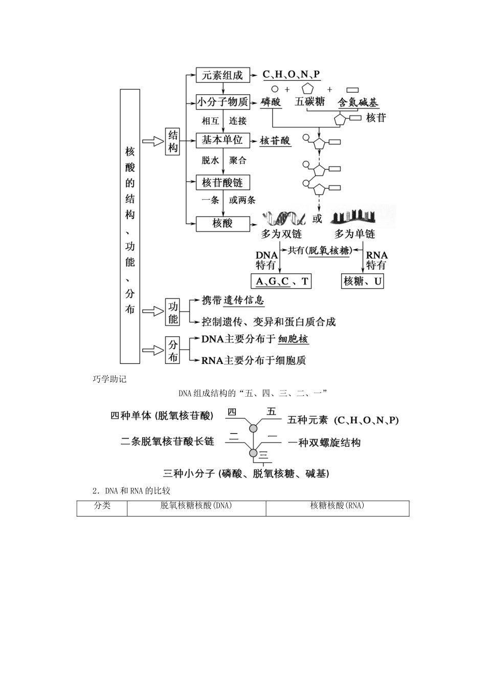 高考生物一轮复习 第一单元 走近细胞和组成细胞的分子 第4讲 细胞中的核酸、糖类和脂质学案 新人教版-新人教版高三全册生物学案_第2页