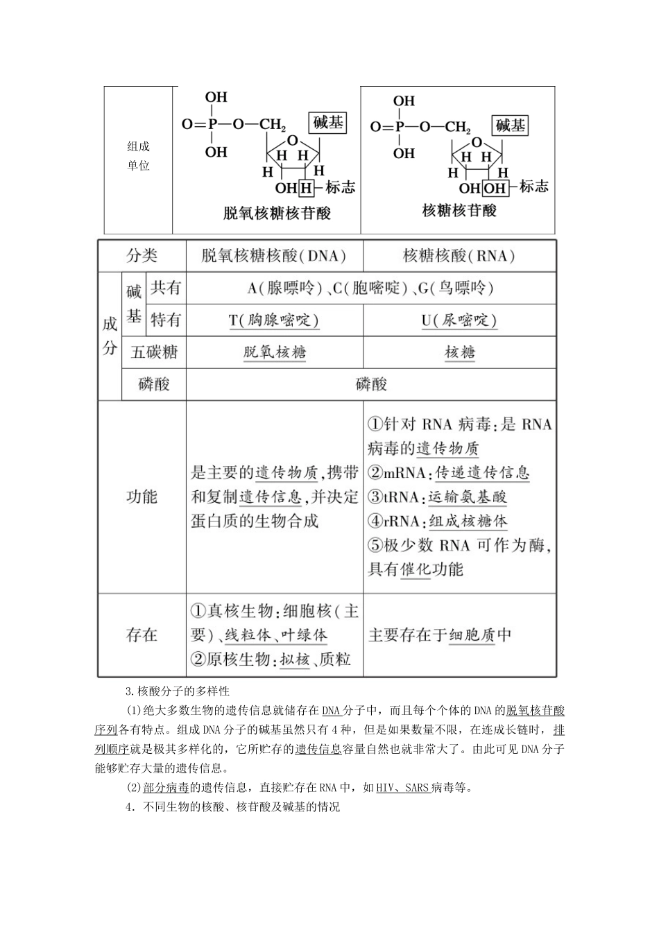 高考生物一轮复习 第一单元 走近细胞和组成细胞的分子 第4讲 细胞中的核酸、糖类和脂质学案 新人教版-新人教版高三全册生物学案_第3页