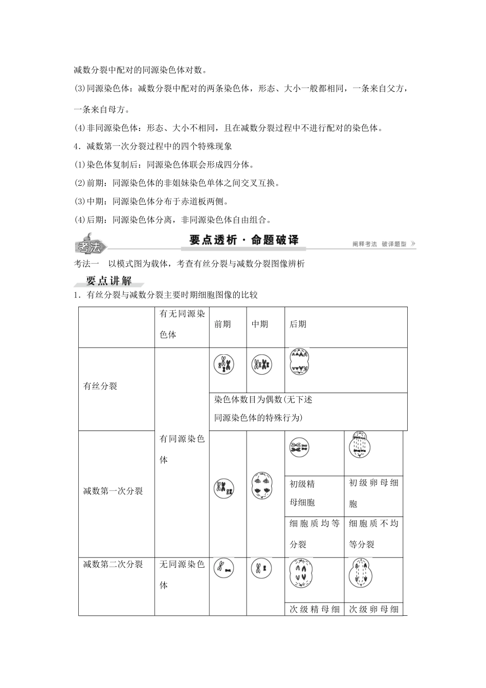 高考生物总复习 第4单元 第13讲减数分裂和受精作用学案-人教版高三全册生物学案_第3页