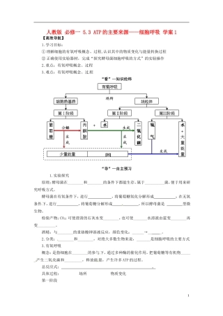 高中生物 5.3 ATP的主要来源 细胞呼吸学案1 新人教版必修1