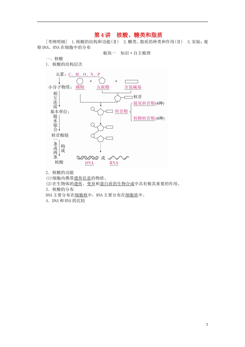 （全国版）高考生物一轮复习 第4讲 核酸、糖类和脂质培优学案-人教版高三全册生物学案_第1页