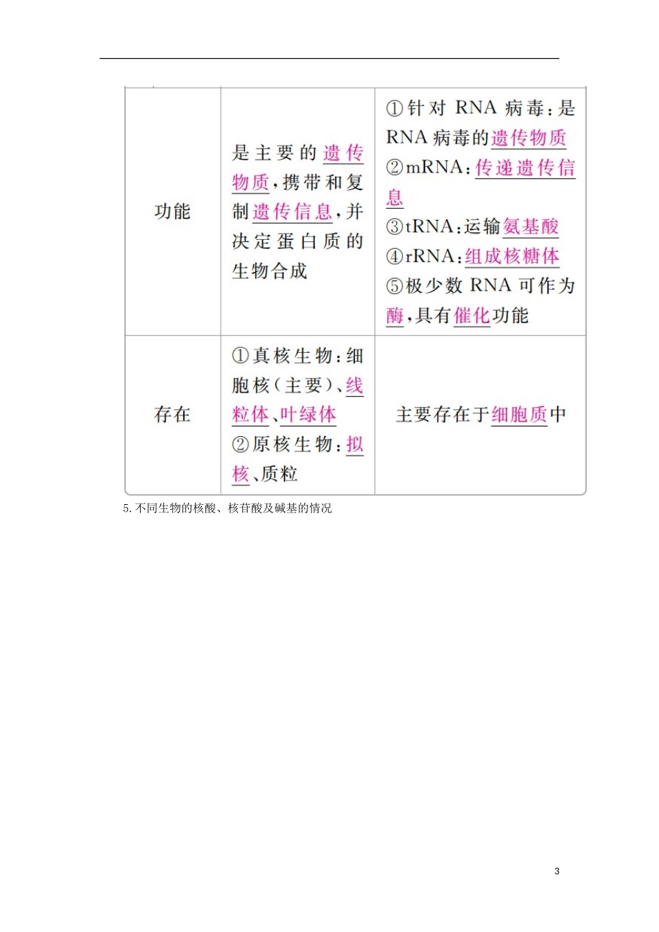 （全国版）高考生物一轮复习 第4讲 核酸、糖类和脂质培优学案-人教版高三全册生物学案_第3页