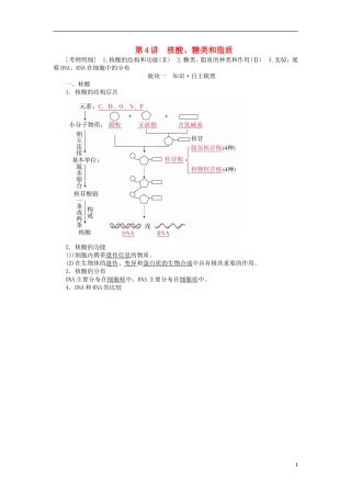 （全国版）高考生物一轮复习 第4讲 核酸、糖类和脂质培优学案-人教版高三全册生物学案