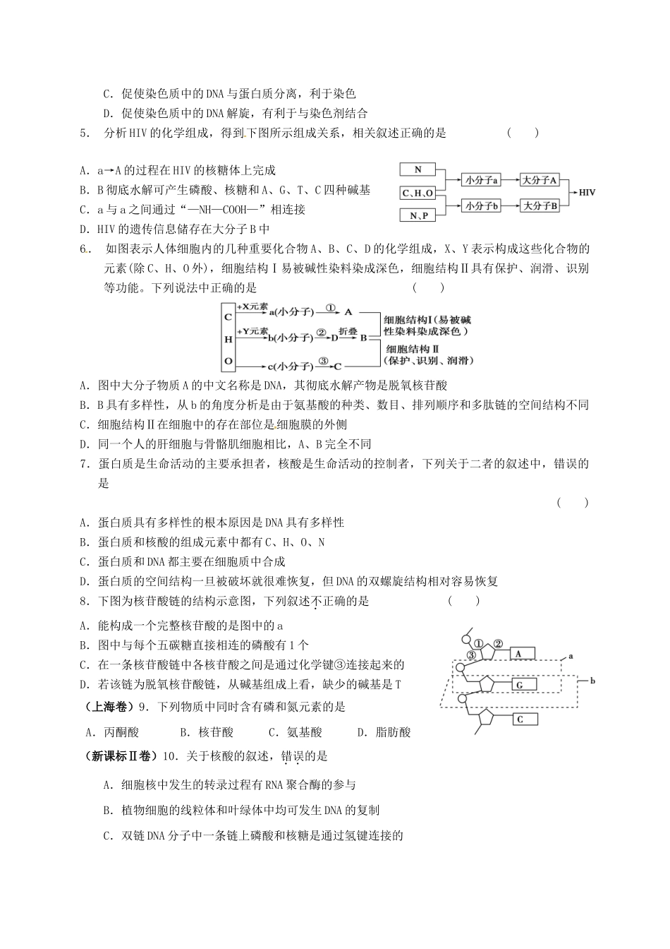 高三生物 核酸复习学案-人教版高三全册生物学案_第3页