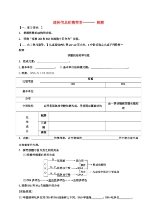高三生物 核酸复习学案-人教版高三全册生物学案