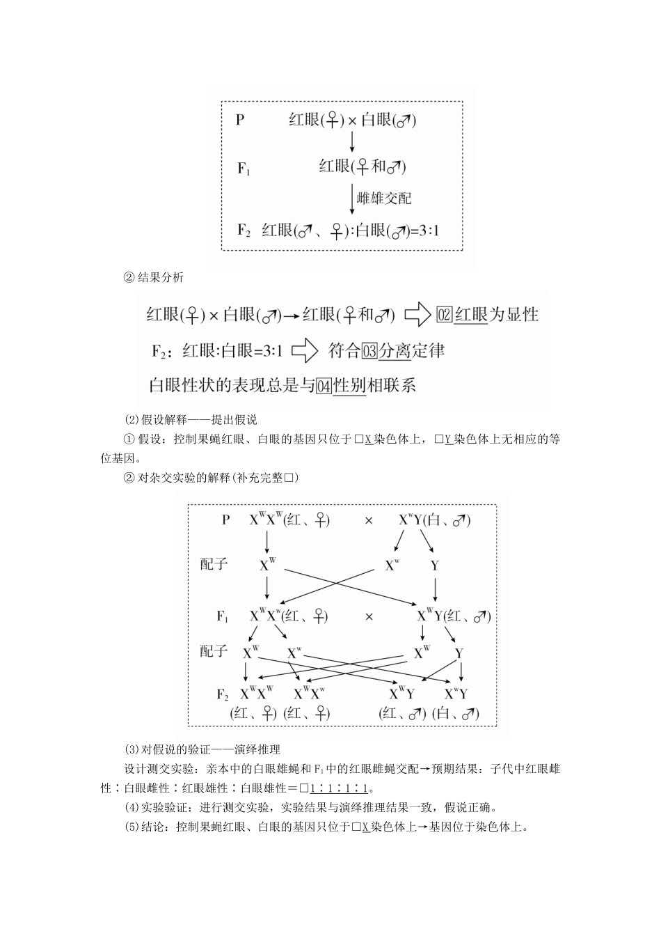 高考生物一轮复习 第5单元 遗传的基本规律与伴性遗传 第16讲 基因在染色体上和伴性遗传学案（含解析）（必修2）-人教版高三必修2生物学案_第2页