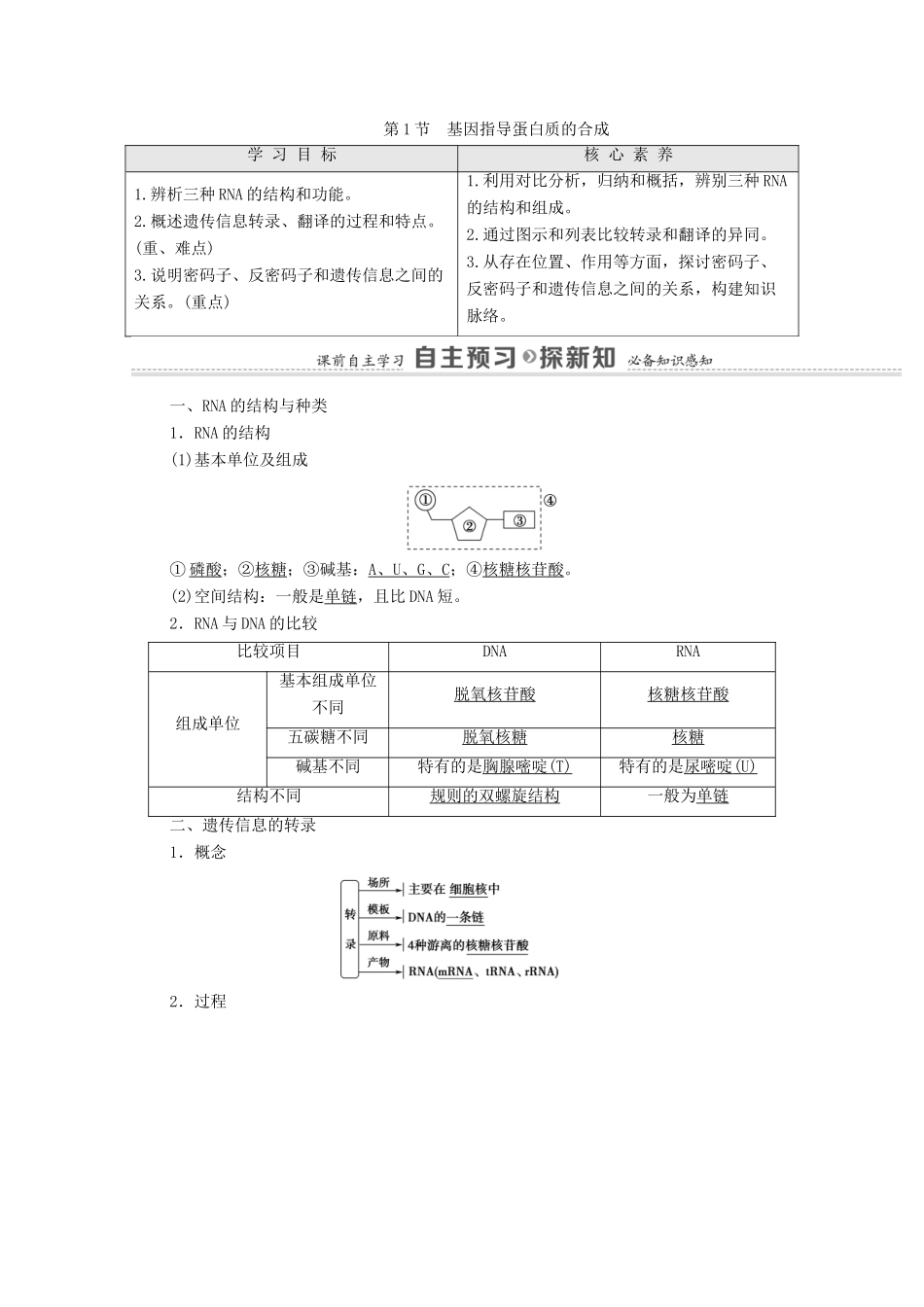 高中生物 第4章 基因的表达 第1节 基因指导蛋白质的合成学案 新人教版必修2-新人教版高中必修2生物学案_第1页