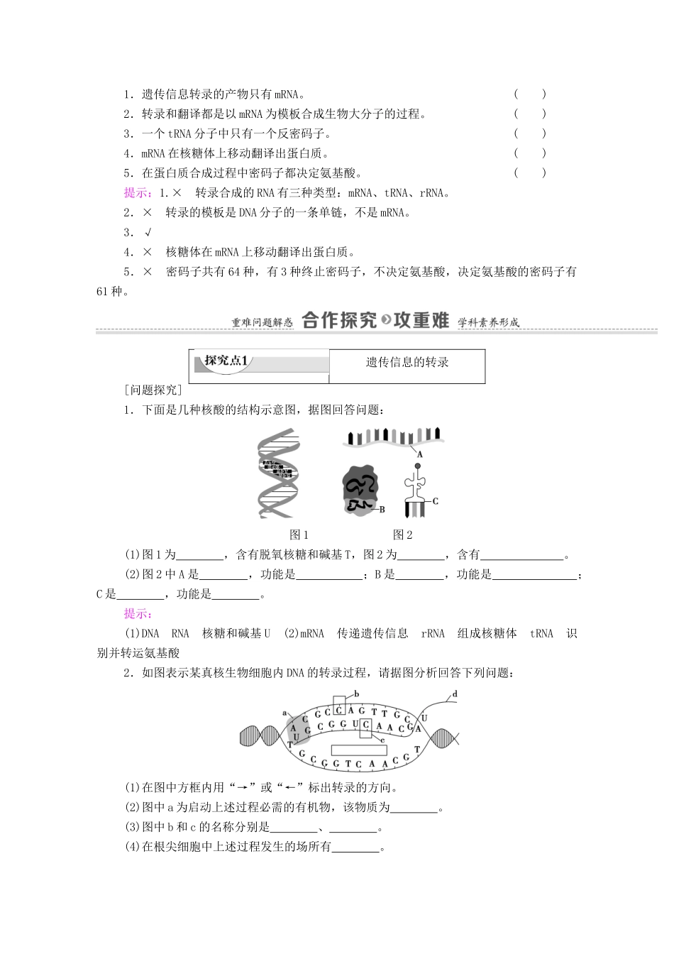 高中生物 第4章 基因的表达 第1节 基因指导蛋白质的合成学案 新人教版必修2-新人教版高中必修2生物学案_第3页