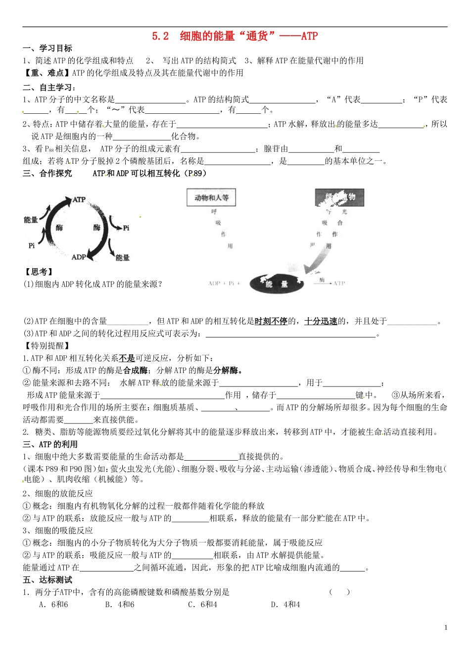 高中生物 5.2细胞的能量“通货”-ATP学案 新人教版必修1-新人教版高一必修1生物学案_第1页