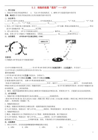 高中生物 5.2细胞的能量“通货”-ATP学案 新人教版必修1-新人教版高一必修1生物学案
