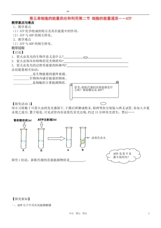 高中生物 5.2细胞的能量通货学案 新人教版必修1