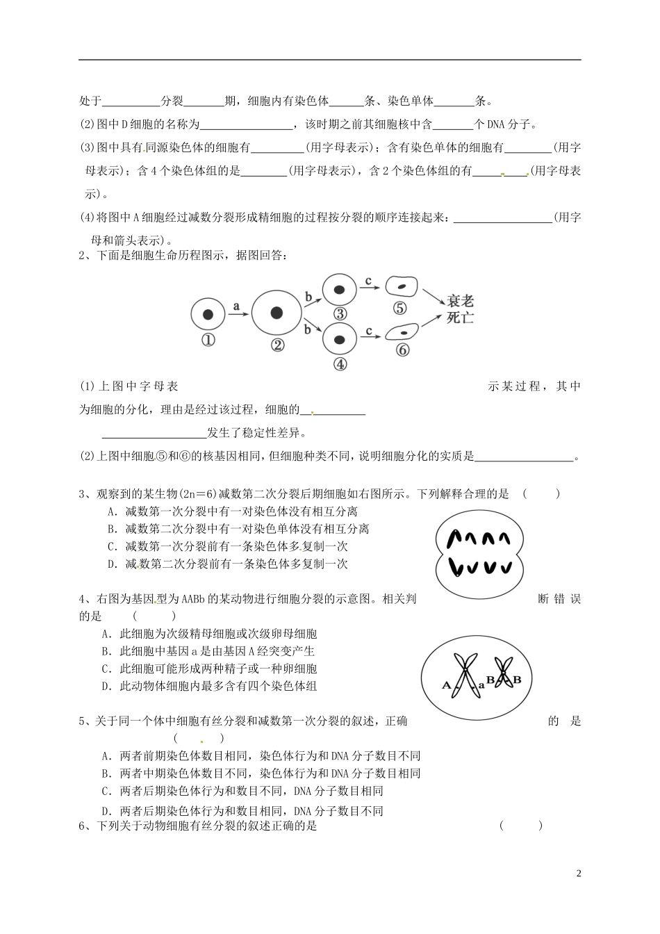 高考生物总复习 专题三 细胞的生命历程导学案-人教版高三全册生物学案_第2页