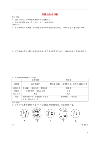 高考生物总复习 专题三 细胞的生命历程导学案-人教版高三全册生物学案