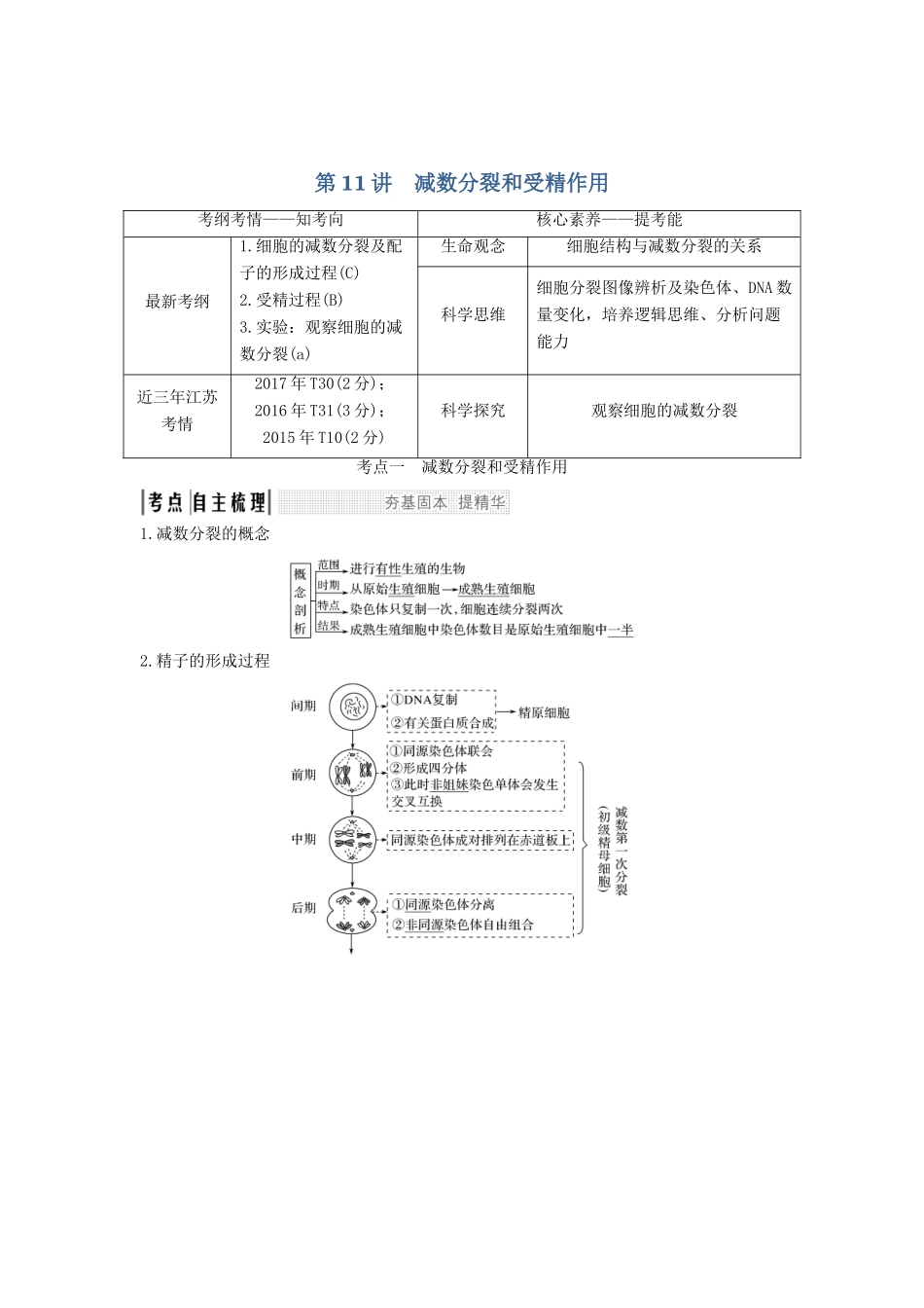 （江苏专用）新高考生物 第四单元 细胞的生命历程 第11讲 减数分裂和受精作用学案-人教版高三全册生物学案_第1页