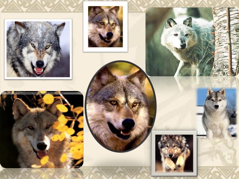 《像山那样思考》_第2页