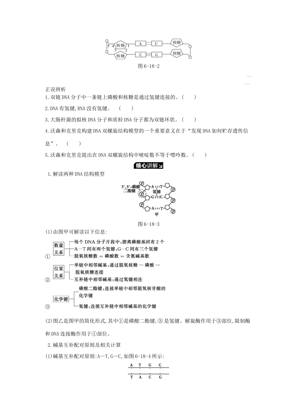 高考生物一轮复习 第6单元 遗传的分子基础 第18讲 DNA分子的结构、复制及基因的本质学案 苏教版-苏教版高三全册生物学案_第2页