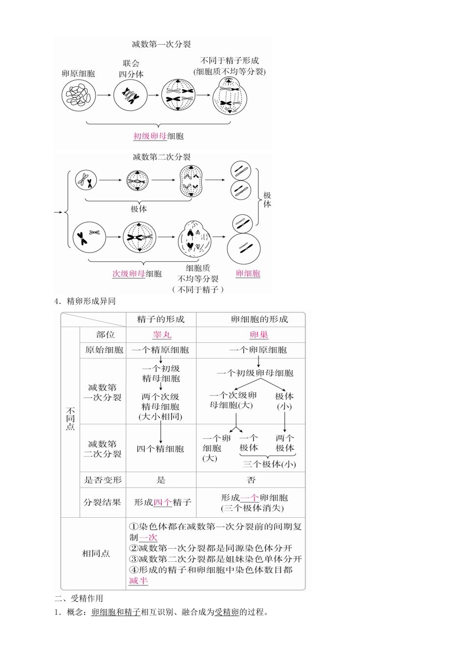 高考生物一轮复习 第13讲 减数分裂和受精作用讲练结合学案-人教版高三全册生物学案_第3页