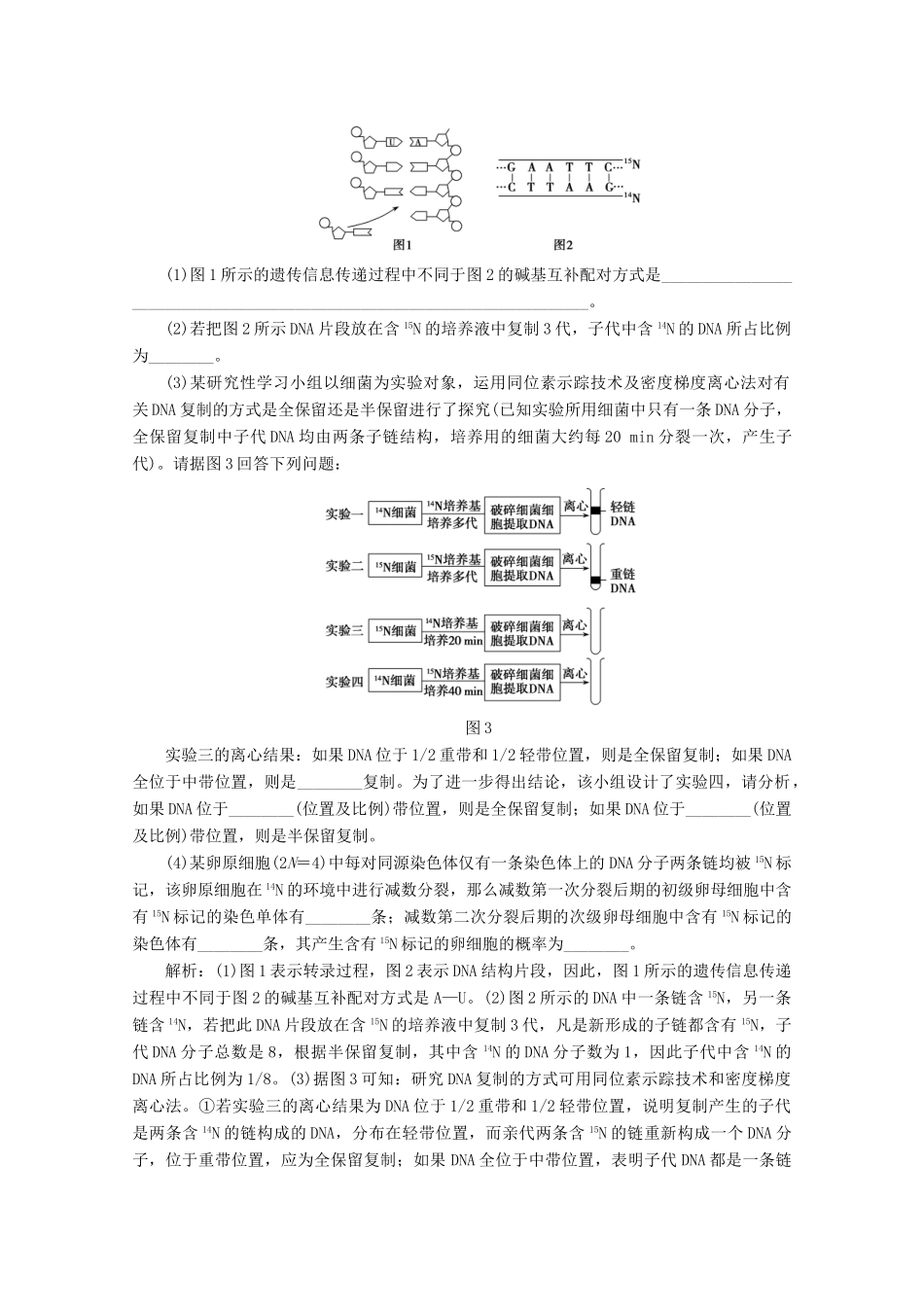 高考生物一轮复习 第六单元 遗传的分子基础 微讲座 遗传的分子基础学案 新人教版-新人教版高三全册生物学案_第3页