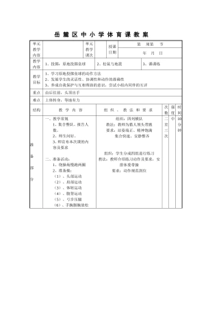 原地投掷垒球教案