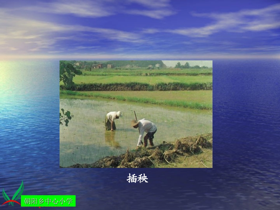 人教新课标品德与生活一年级下册《小苗快快长》PPT课件_第2页