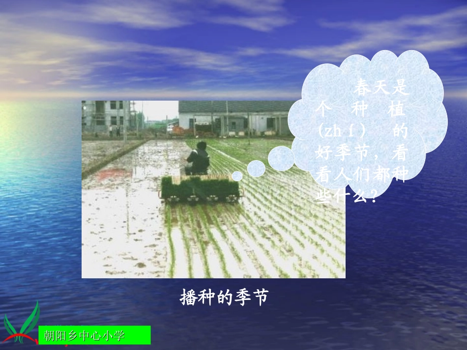 人教新课标品德与生活一年级下册《小苗快快长》PPT课件_第3页