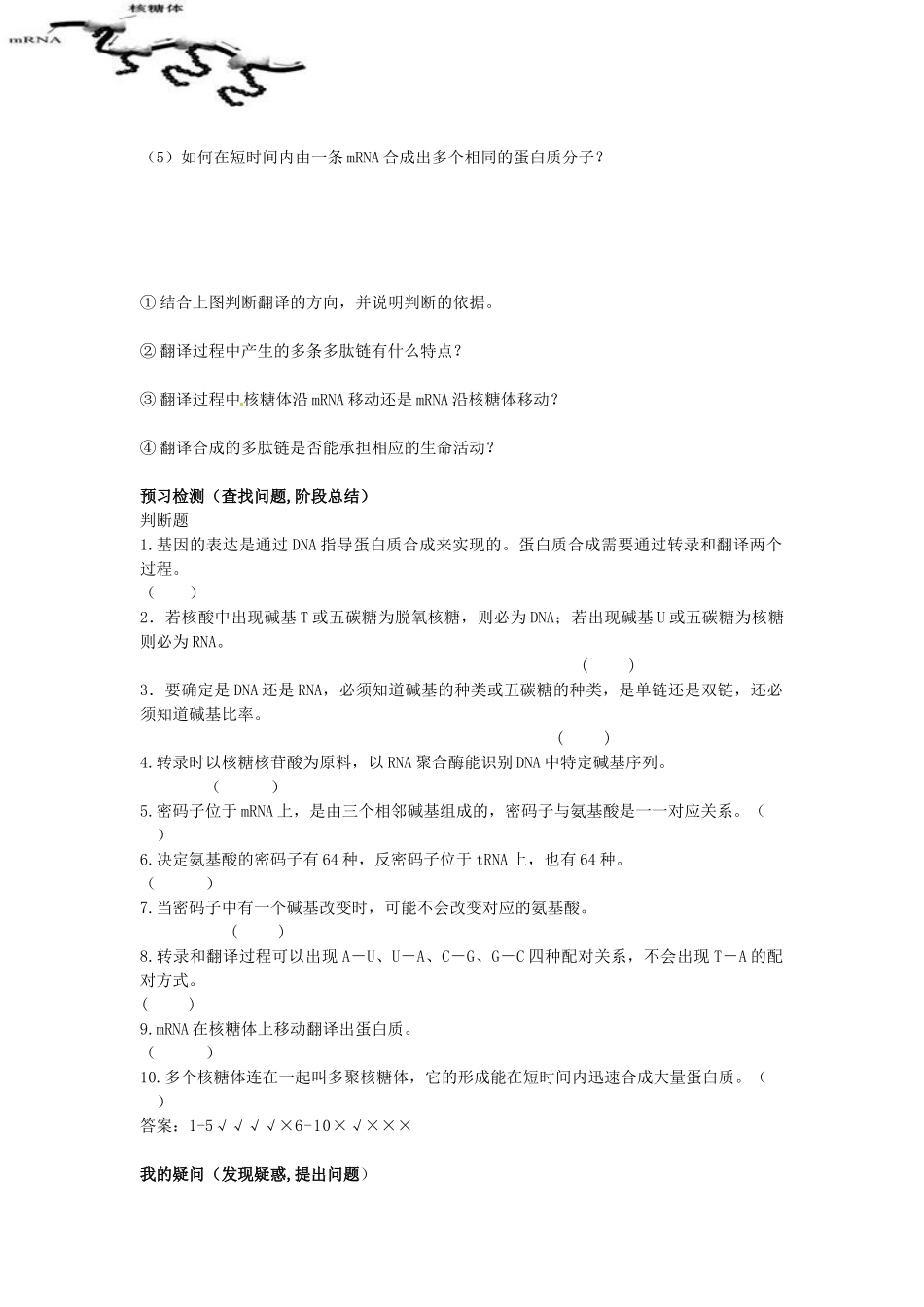 高中生物 4.1 基因指导蛋白质的合成导学案 新人教版必修2-新人教版高一必修2生物学案_第3页