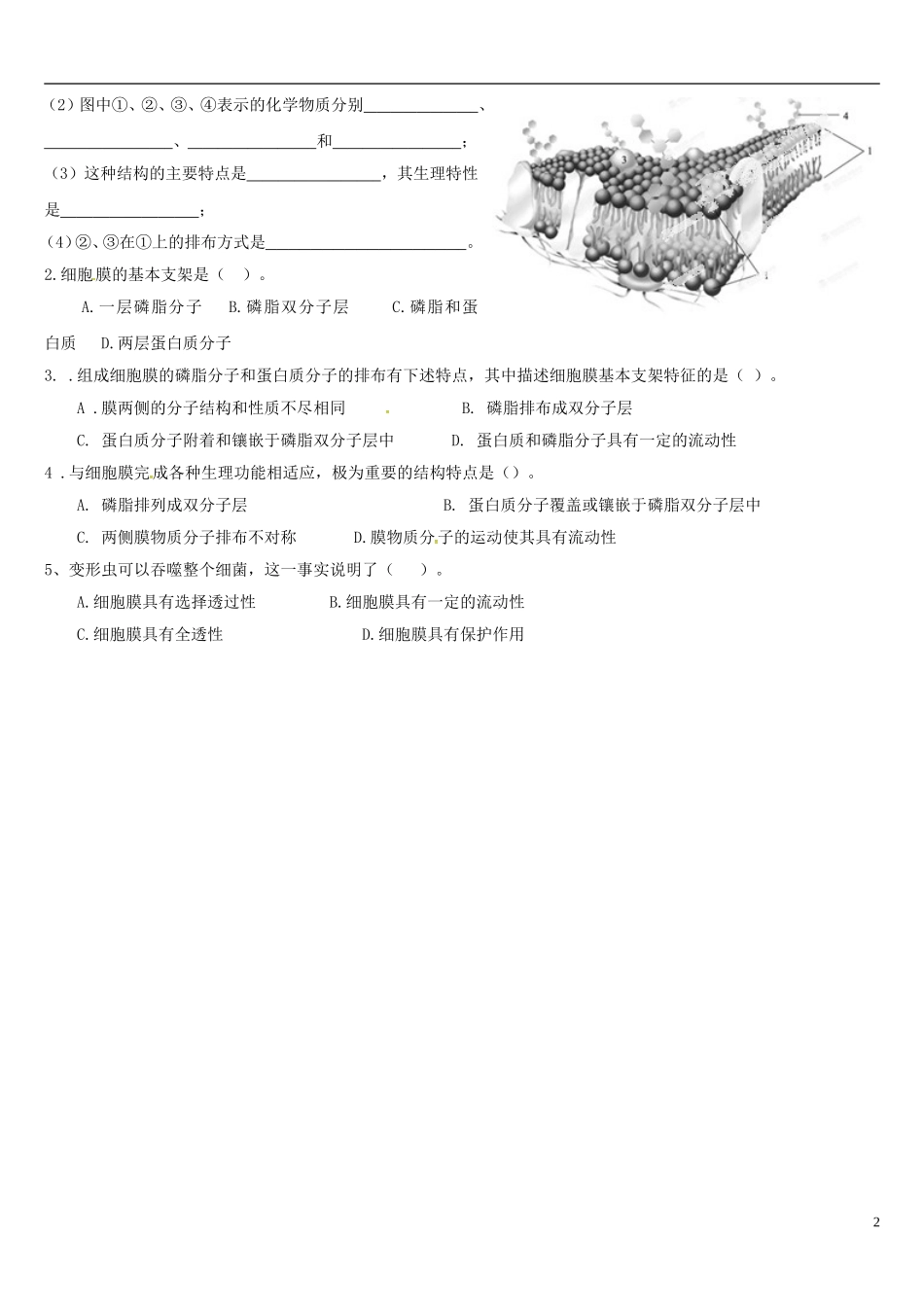 高中生物 4.2生物膜的流动镶嵌模型学案 新人教版必修1-新人教版高一必修1生物学案_第2页