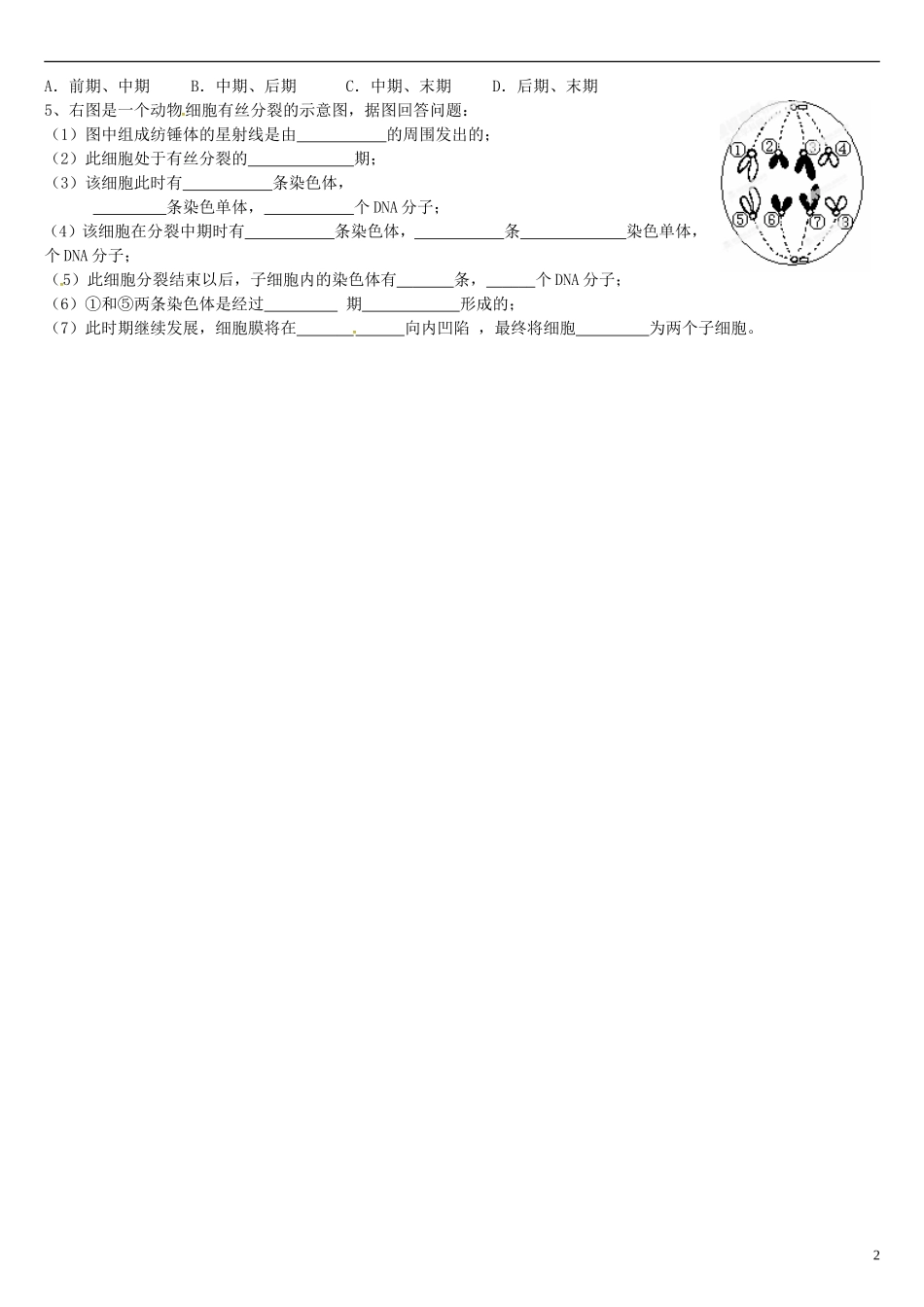 高中生物 6.1细胞的增殖（二）学案 新人教版必修1-新人教版高一必修1生物学案_第2页