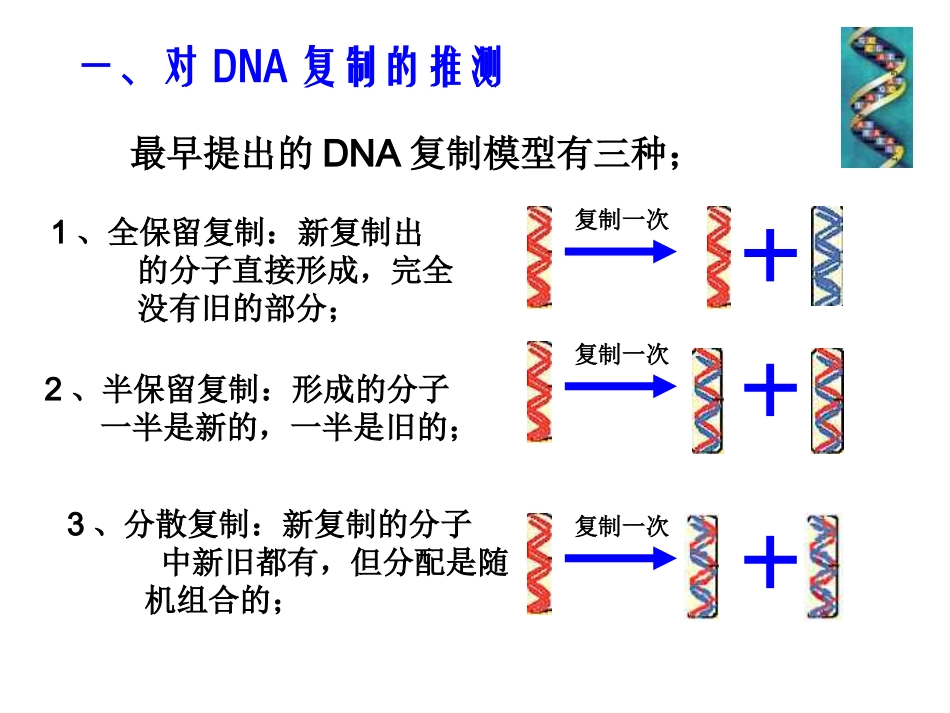 高二生物《DNA的复制》PPT课件_第2页