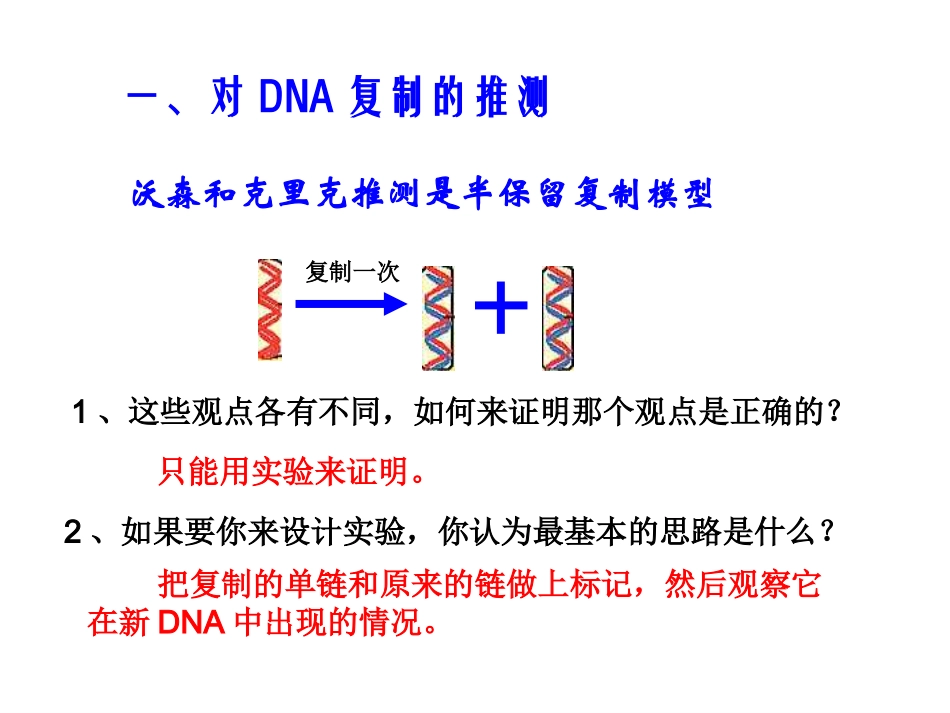 高二生物《DNA的复制》PPT课件_第3页