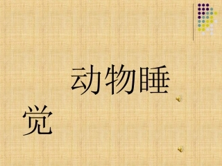 大班科学：动物睡觉