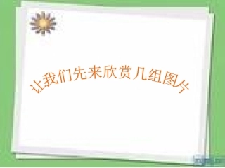 古诗蜂赏析PPT