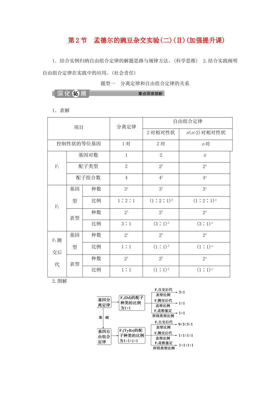 高中生物 第1章 遗传因子的发现 第2节 孟德尔的豌豆杂交实验（二）（Ⅱ）（加强提升课）学案 新人教版必修第二册-新人教版高一第二册生物学案_第1页