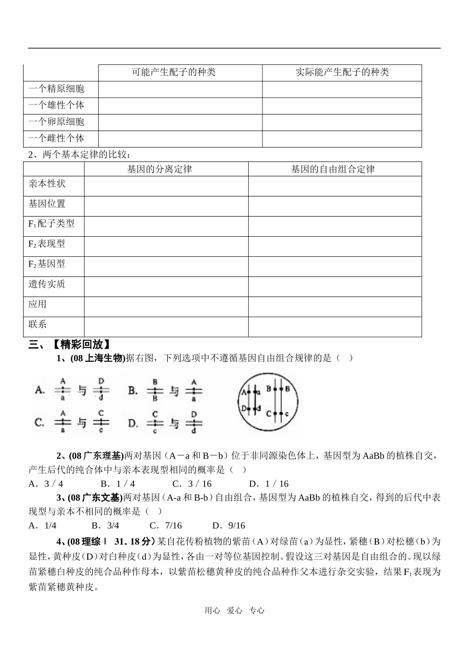 第六章   遗传和变异   第二节  遗传的基本规律   二、基因的自由组合定律_第2页