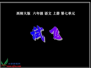 (西师大版)六年级语文上册课件_试飞