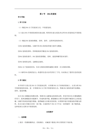 第3节　DNA的复制