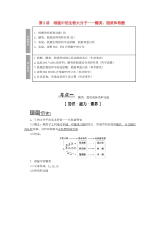 高考生物一轮复习 第1单元 细胞的化学组成 第2讲 细胞中的生物大分子——糖类、脂质和核酸学案 苏教版必修1-苏教版高三必修1生物学案