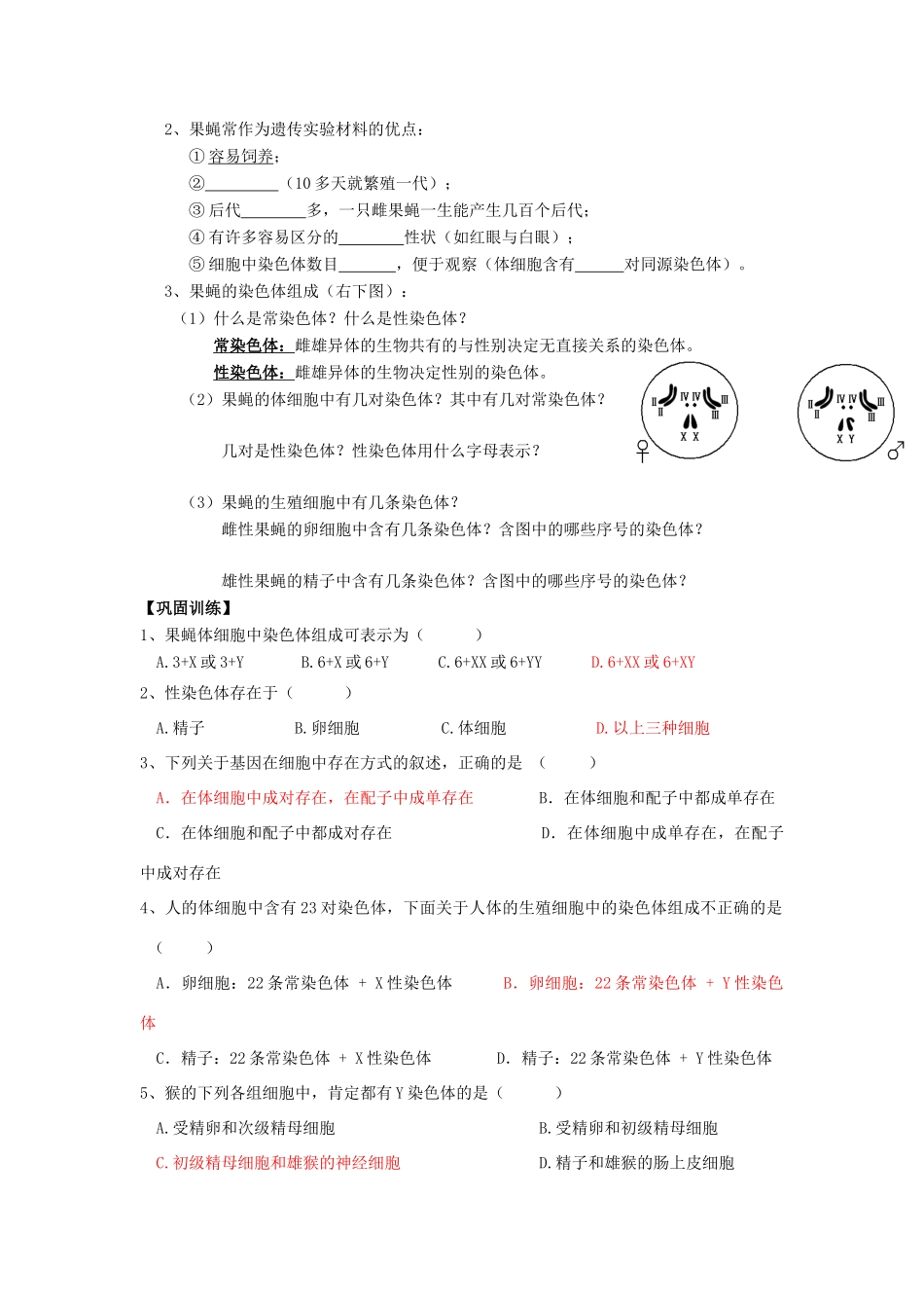 高中生物 第2章 基因和染色体的关系 第2节 基因在染色体上（1）导学案 新人教版必修2-新人教版高一必修2生物学案_第2页