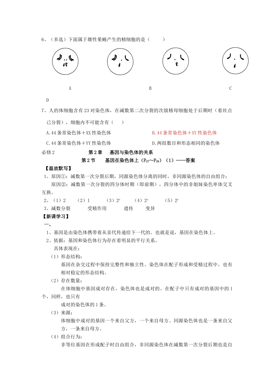 高中生物 第2章 基因和染色体的关系 第2节 基因在染色体上（1）导学案 新人教版必修2-新人教版高一必修2生物学案_第3页