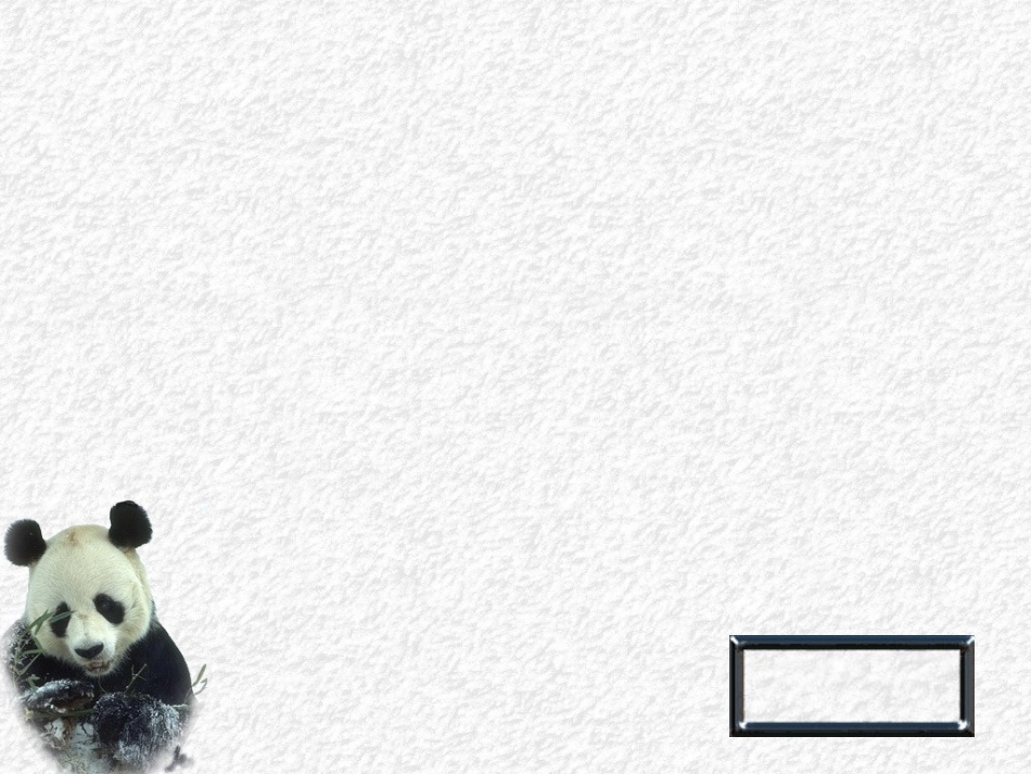 熊猫动物PPT模板_第2页