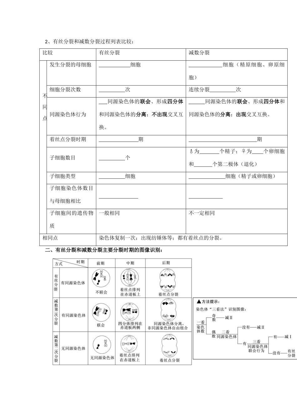 高中生物 第2章 基因和染色体的关系 第1节 减数分裂（3）导学案 新人教版必修2-新人教版高一必修2生物学案_第2页