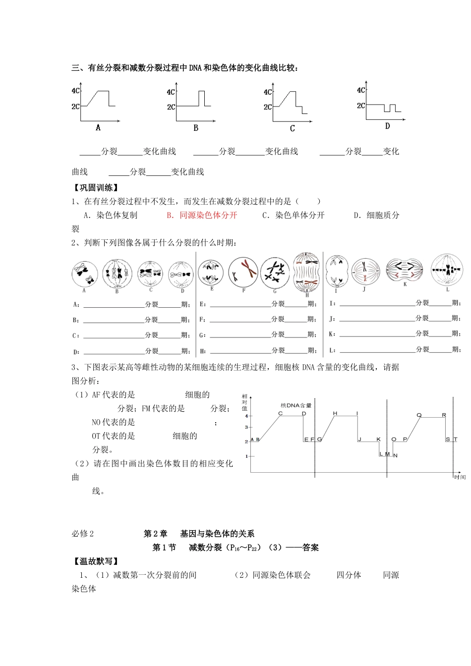 高中生物 第2章 基因和染色体的关系 第1节 减数分裂（3）导学案 新人教版必修2-新人教版高一必修2生物学案_第3页