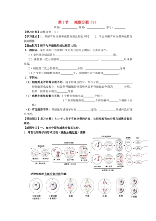 高中生物 第2章 基因和染色体的关系 第1节 减数分裂（3）导学案 新人教版必修2-新人教版高一必修2生物学案