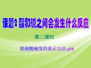 广东省珠海十中九年级化学下册《10.2 酸和碱的中和反应（第二课时）》课件 新人教版
