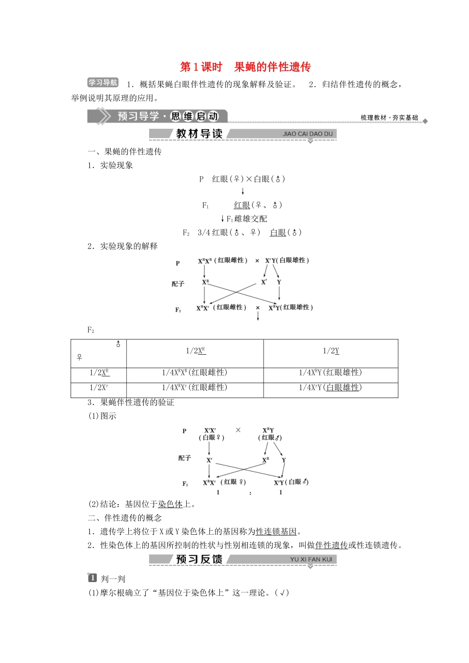高中生物 第4章 遗传信息的传递规律 第3节 伴性遗传 第1课时 果蝇的伴性遗传学案 北师大版必修2-北师大版高一必修2生物学案_第1页