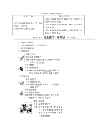 高中生物 第3章 细胞的基本结构 第2节 第1课时 细胞器之间的分工学案 新人教版必修1-新人教版高一必修1生物学案